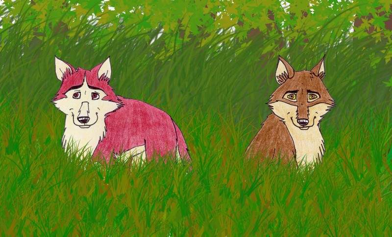 BALTO AND KODI