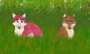 BALTO AND KODI