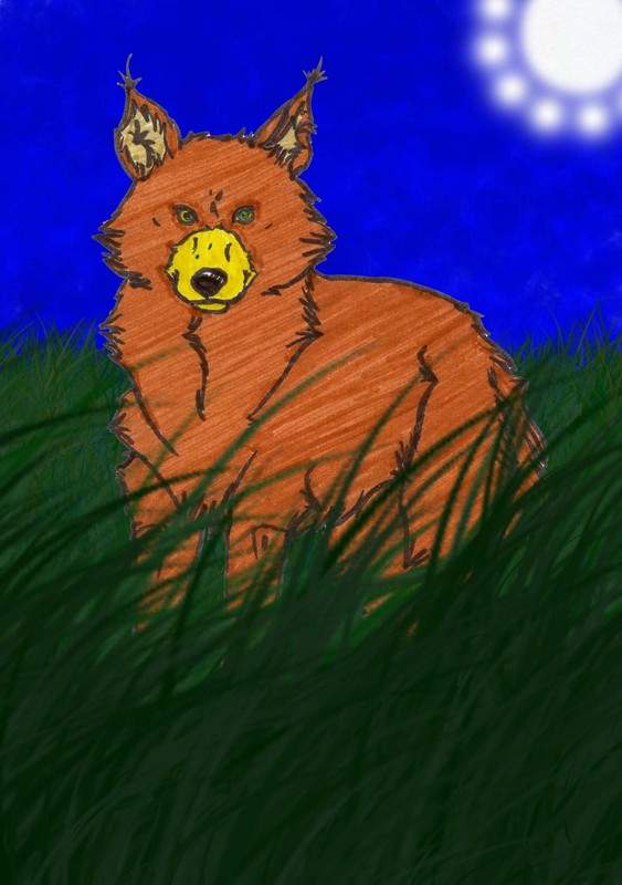 QUITUQ FOR WOLFINDEN