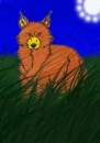 QUITUQ FOR WOLFINDEN