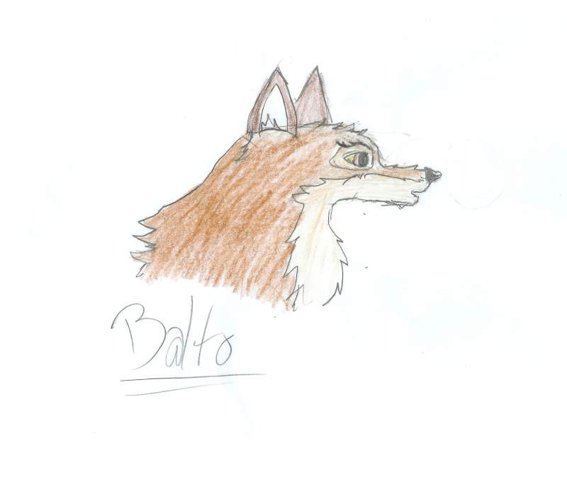 Balto Piccy