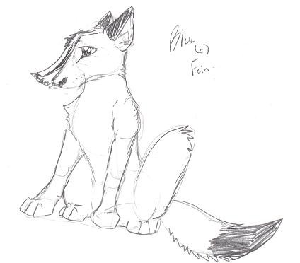 For Fein