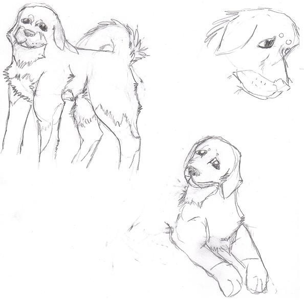 Contest Entry