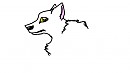 Aniu/White Wolf