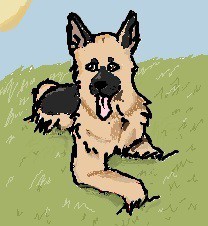 German Shepherd