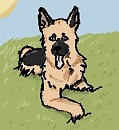 German Shepherd