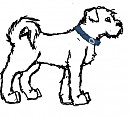 Doggie
