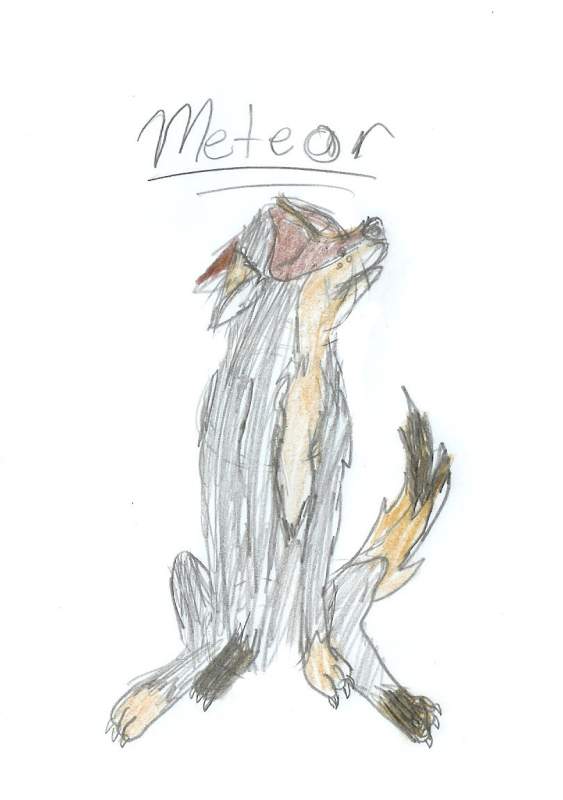 Meteor