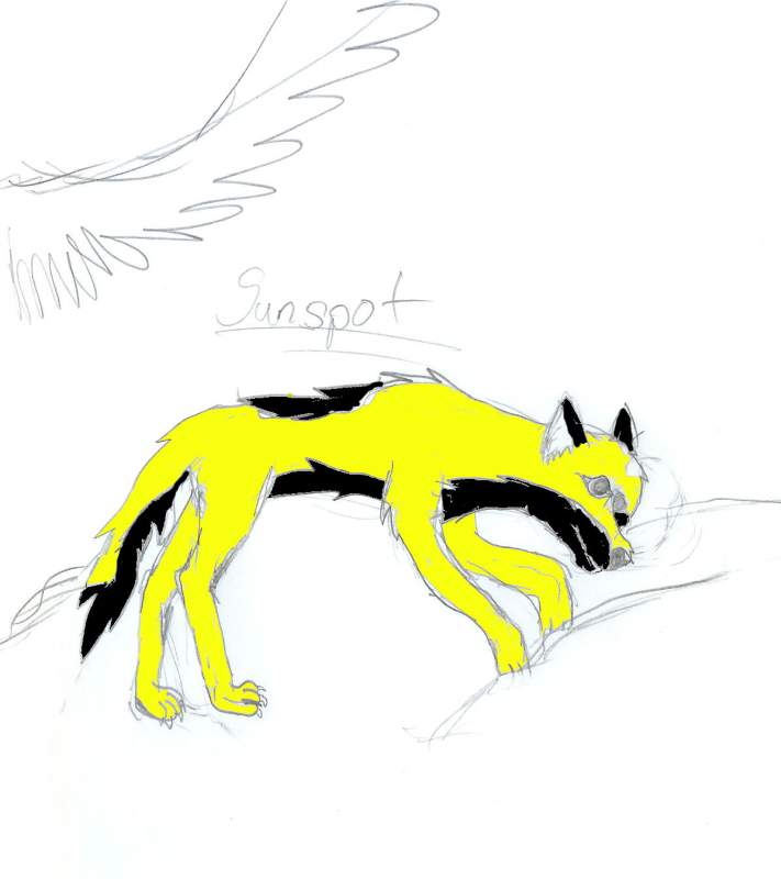 Sunspot
