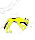 Sunspot