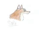 Balto Piccy