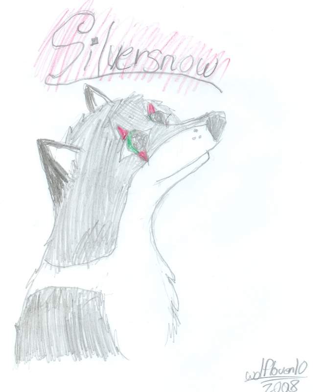 Silversnow
