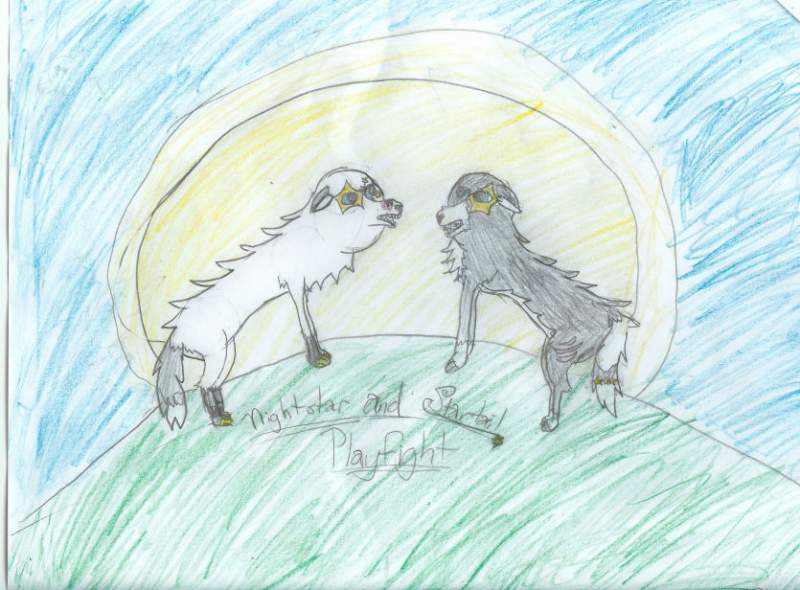 Playfight!!!