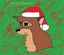 Balto for Christmas!!!