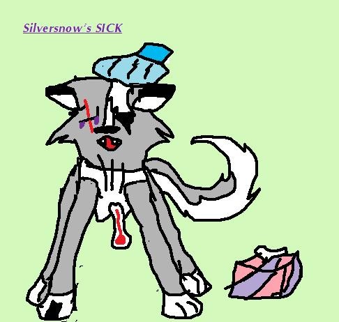 Silversnow's SICK!!!