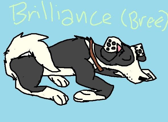 Puppy Dream Land!!!