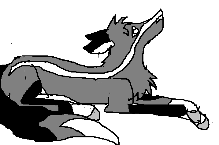 New Char!