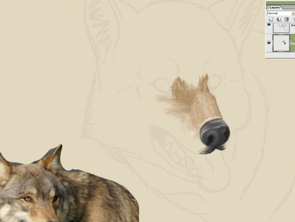 Thee wolftastical WIP
