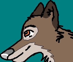 Balto!