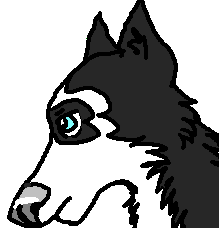 Steele as a puppy! :3