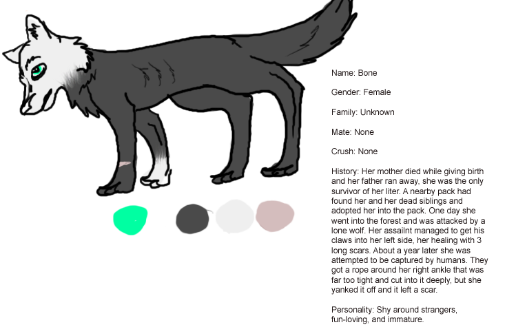 Reference sheet for my fursona!