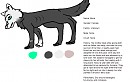 Reference sheet for my fursona!