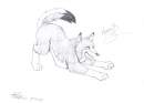 Stretch and Yawn...