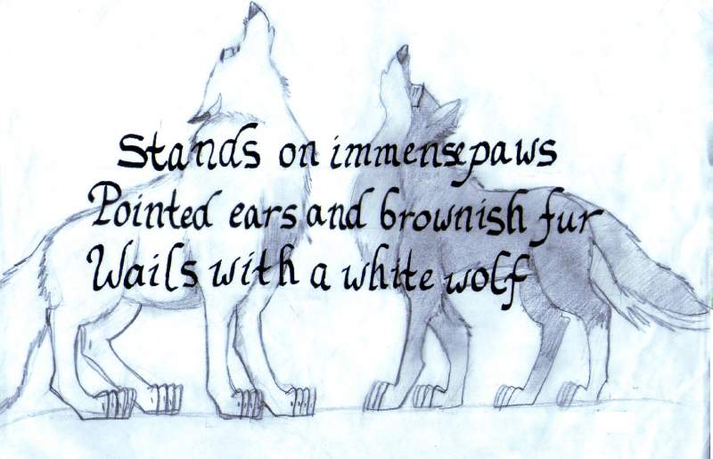 Balto Poem