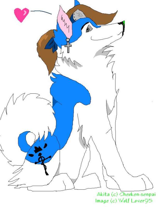    Just Akita^^