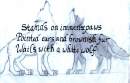 Balto Poem