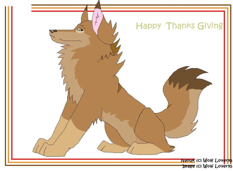      Happy Thanks Giving Balto Source