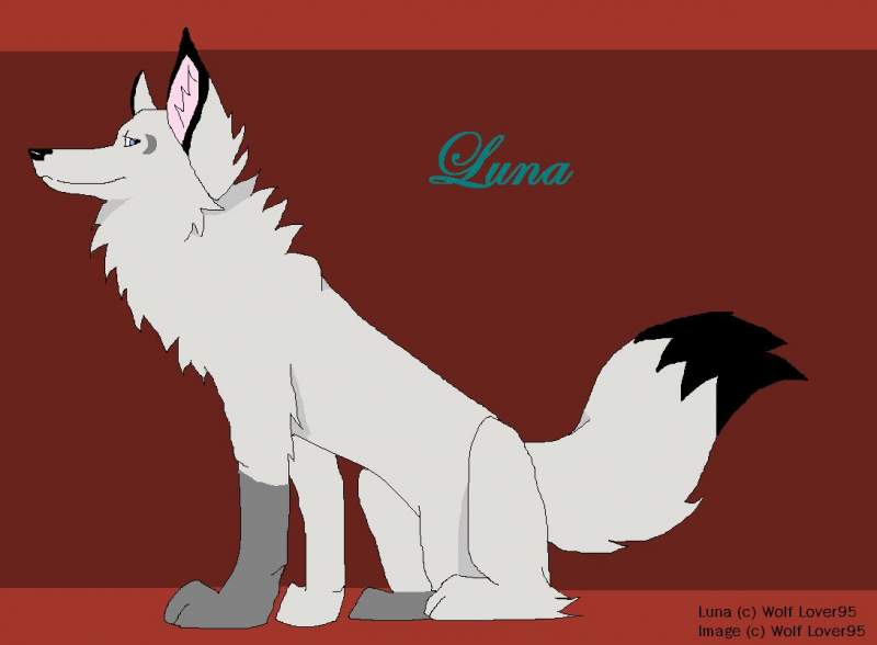 Nothing But Luna!