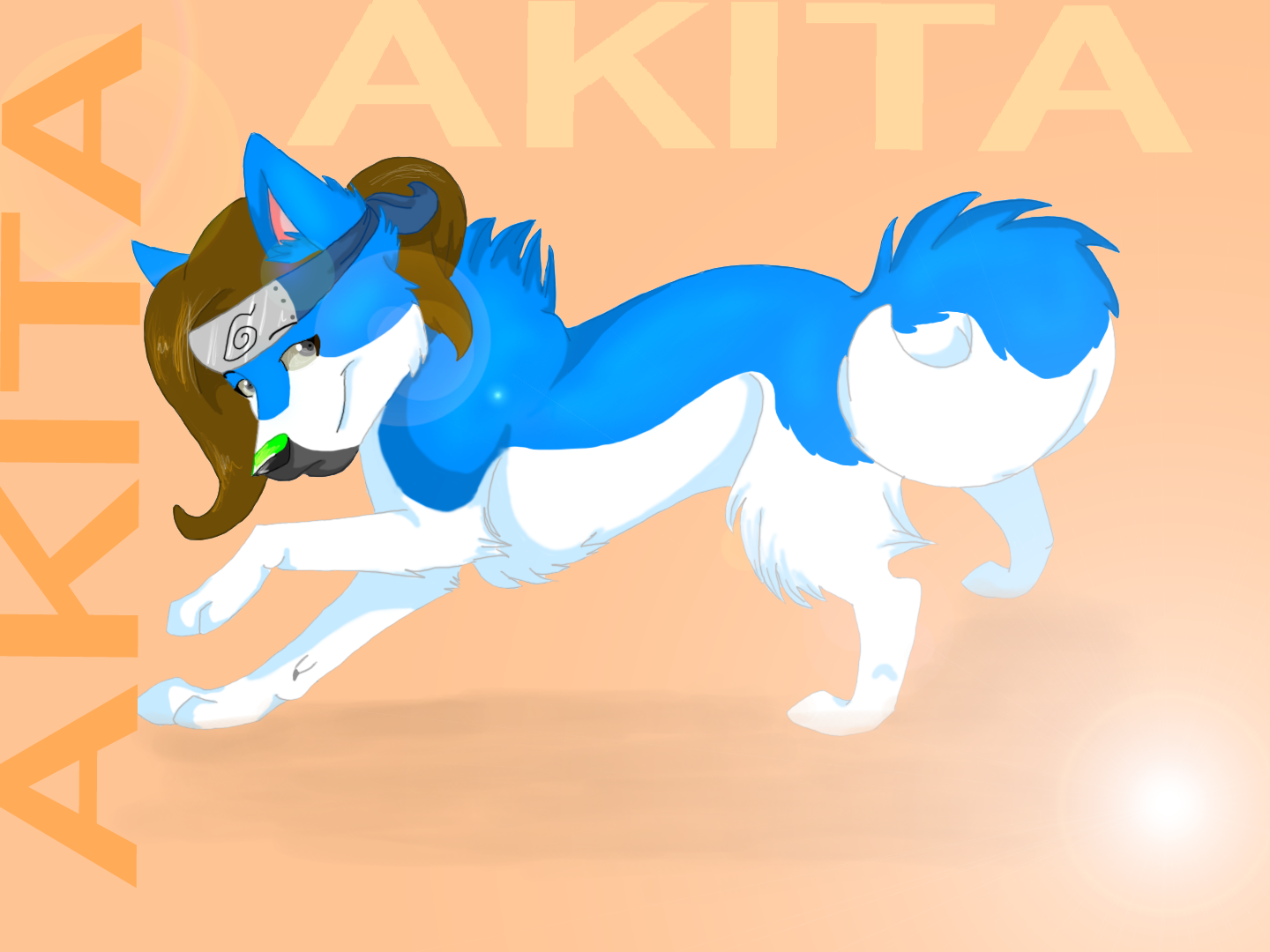 ::AKITALOVE::