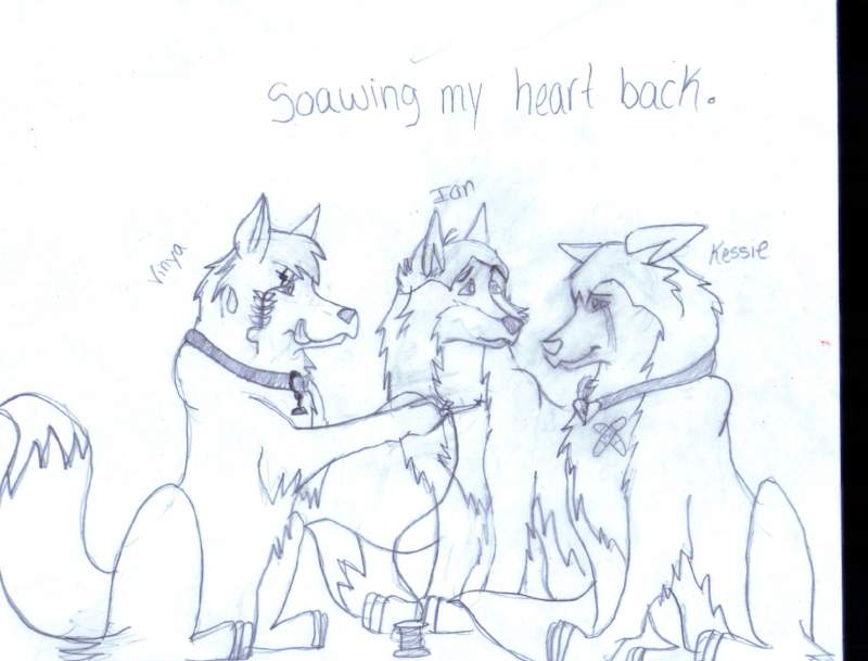 Reparing A Broken Heart