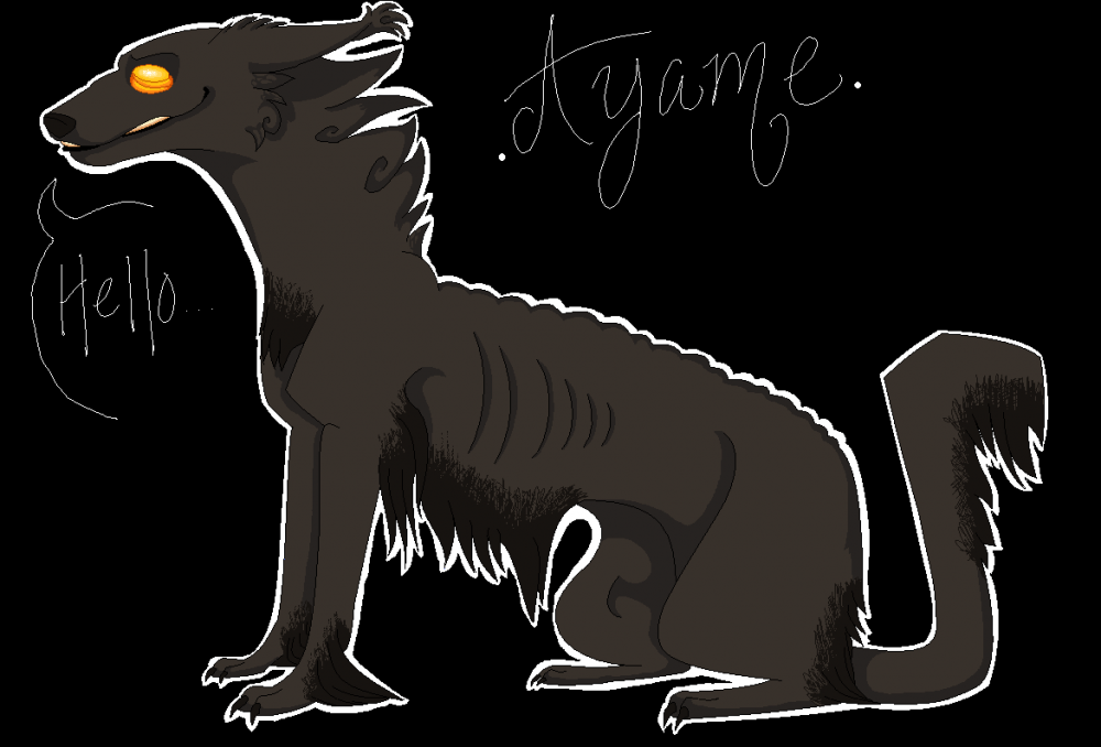 AyameAyameAyame