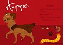 Aurora Ref V.2