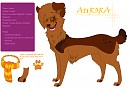 Aurora ref of 09