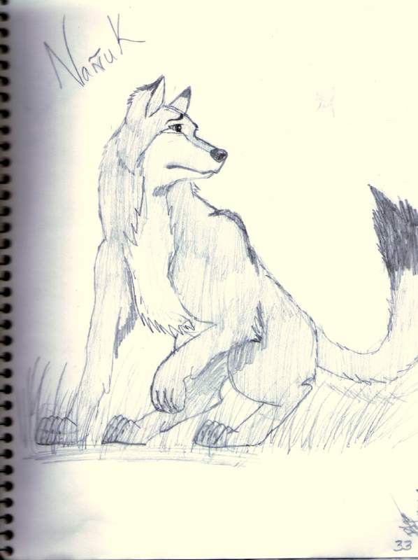My Character Nanuk