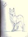 Luna Sketched Out