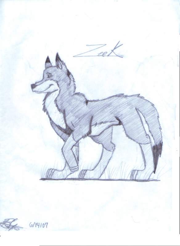 Zeek