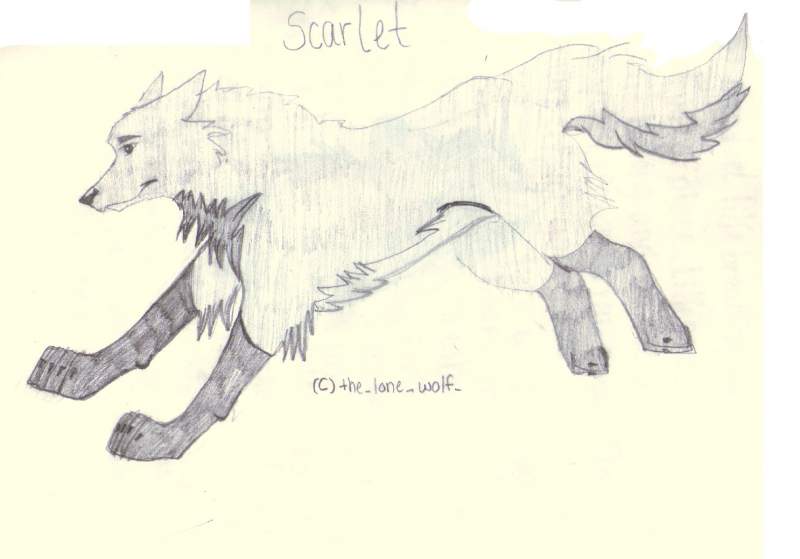 Art Trade With lonewolfdrawer