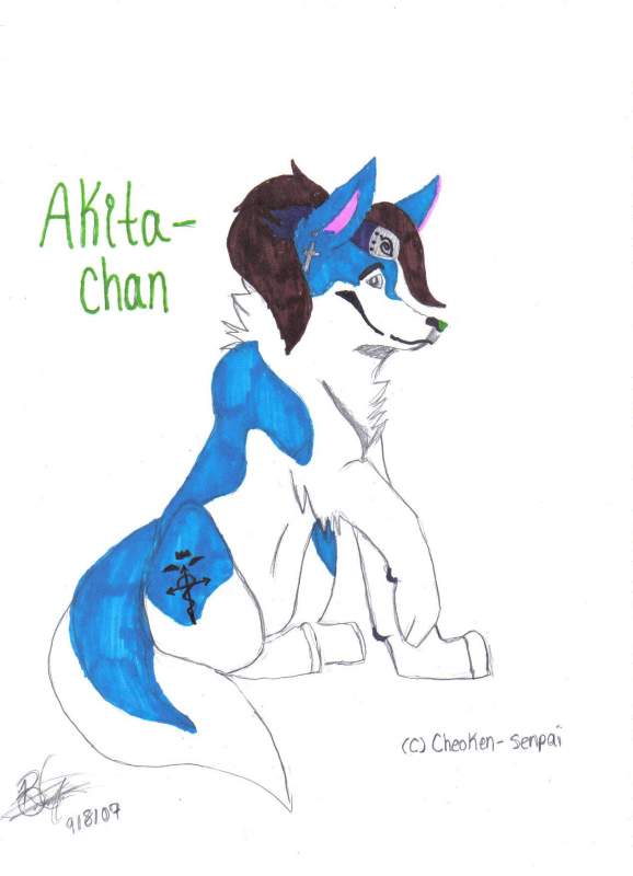 Akita...