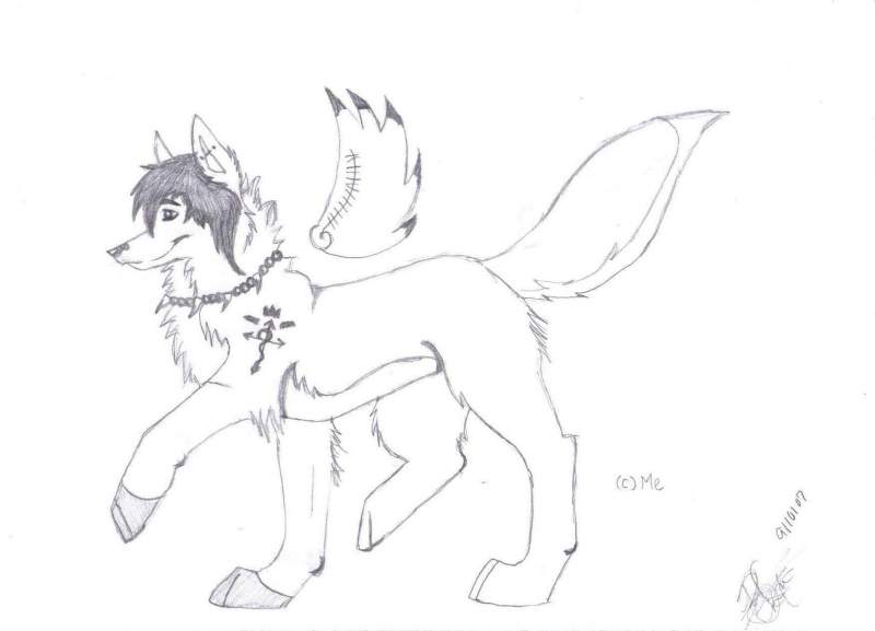 Updataed My Fursona..