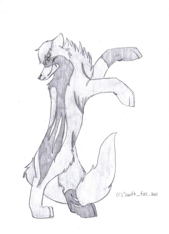 Strider
