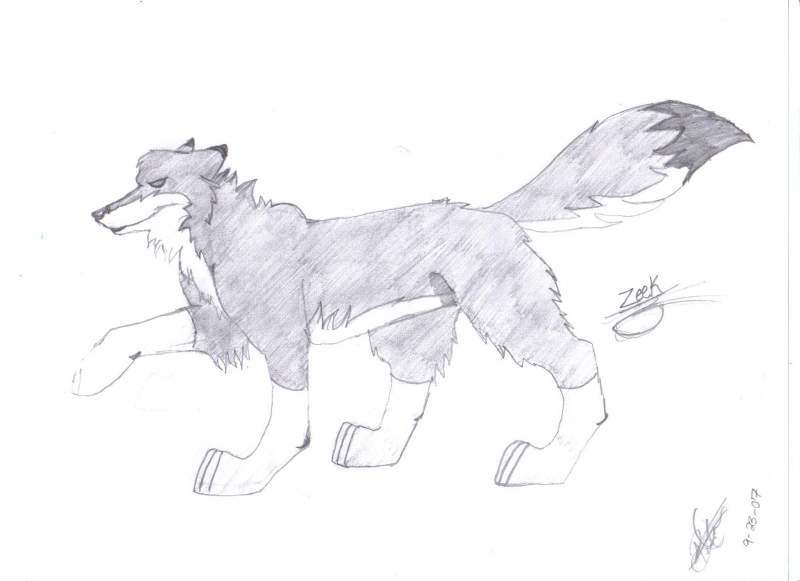 Zeek
