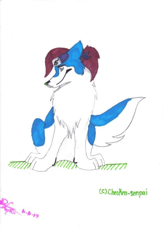 Akita