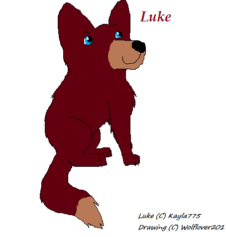 Luke- Gift Kayla775