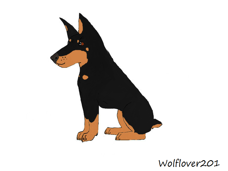 Dobie (Doberman) Portrait 