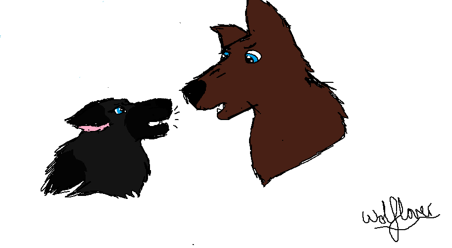 Playful arguements/debates xD
