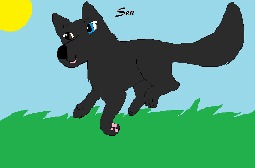 A gift for Sen